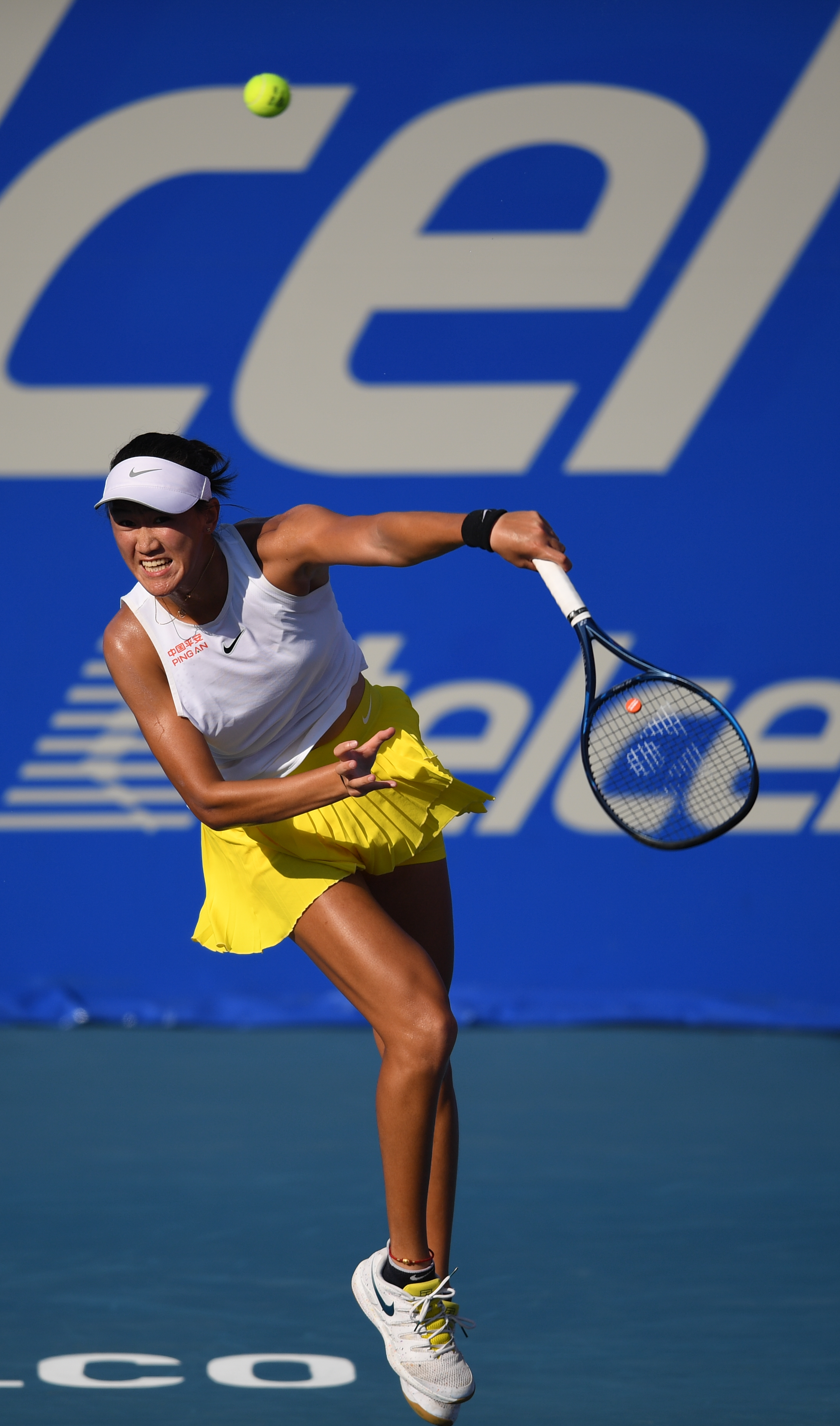 带猫跑图 带猫跑图